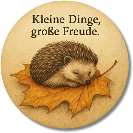 Kleine Dinge, große Freude – Zolavia Magnet, Bild 1